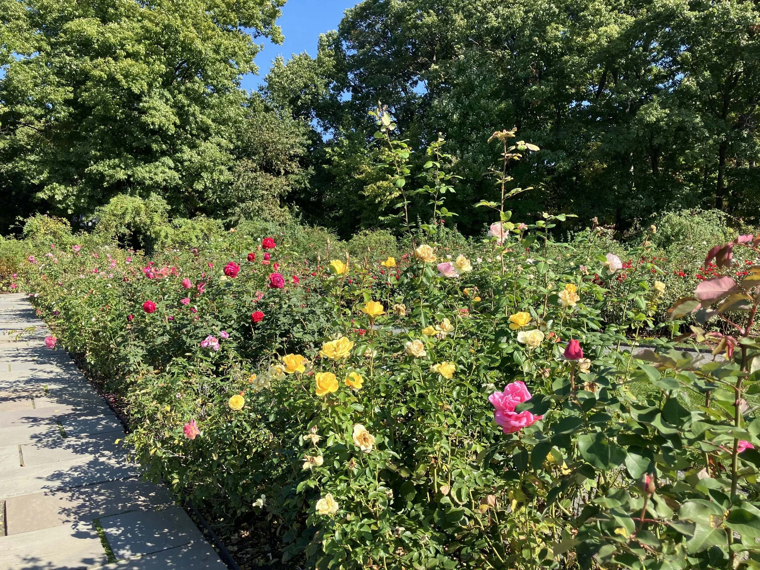 Inspiration at the New York Botanical Garden