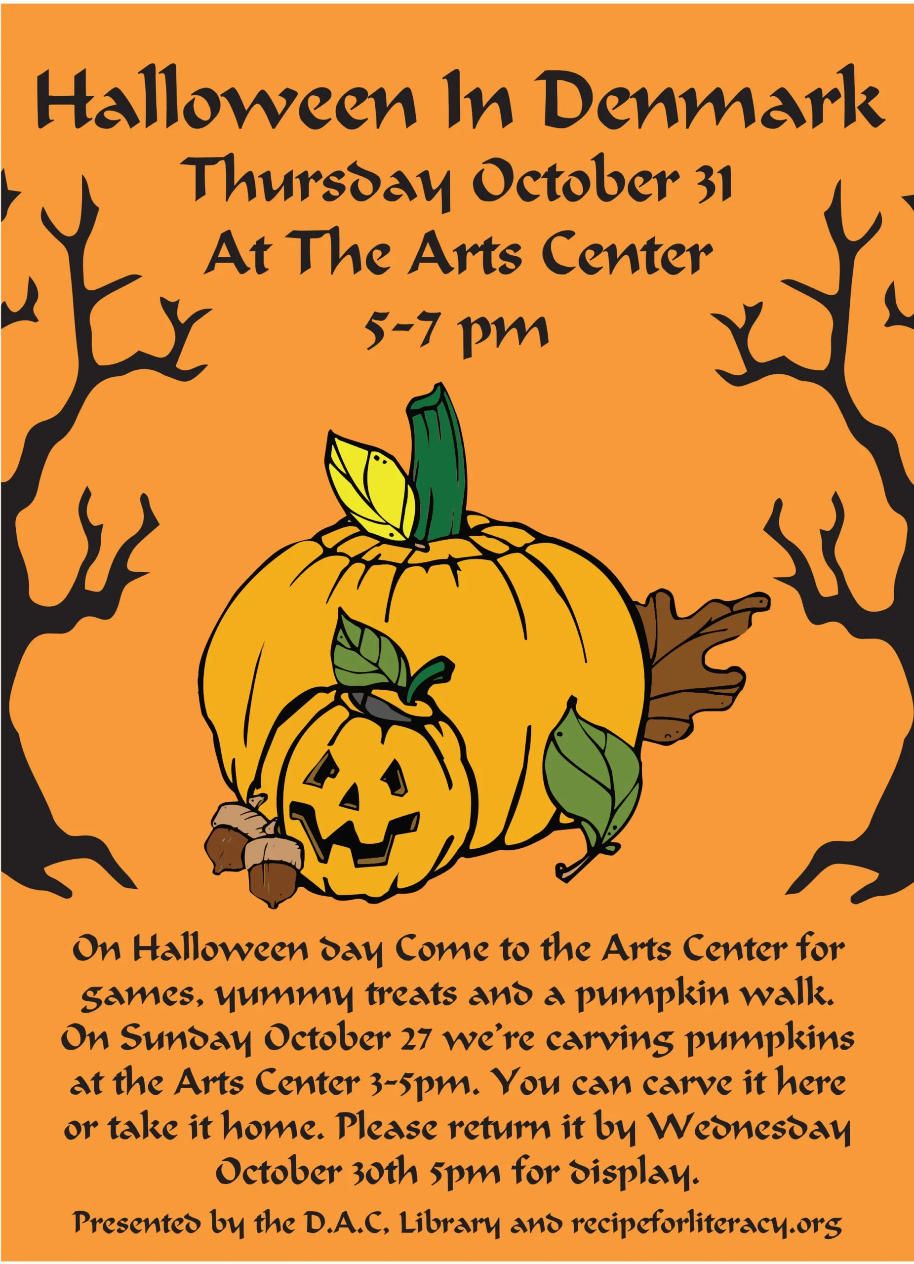 Denmark Public Library and the Denmark Arts Center in Maine