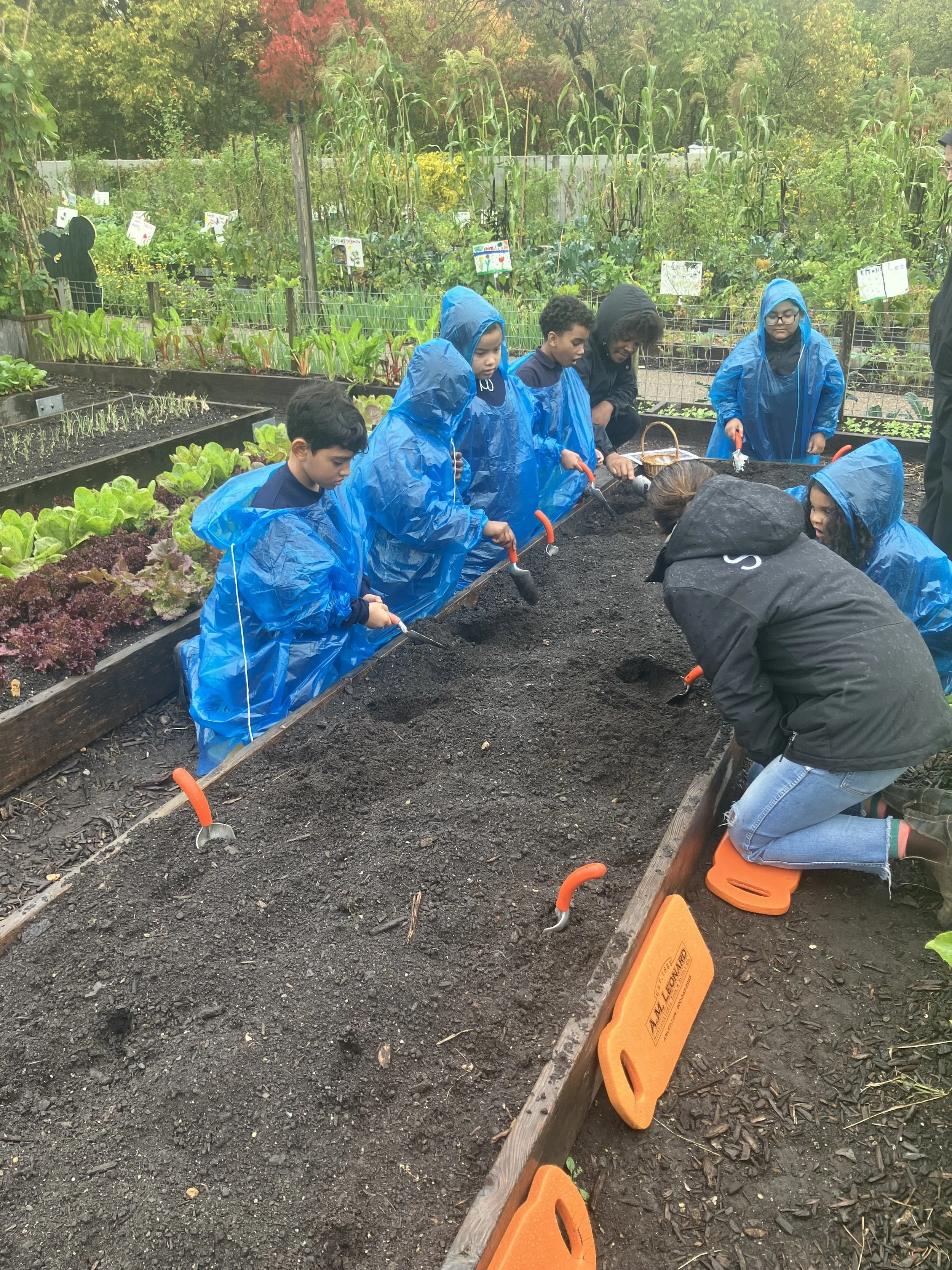 The Edible Academy at the New York Botanical Garden