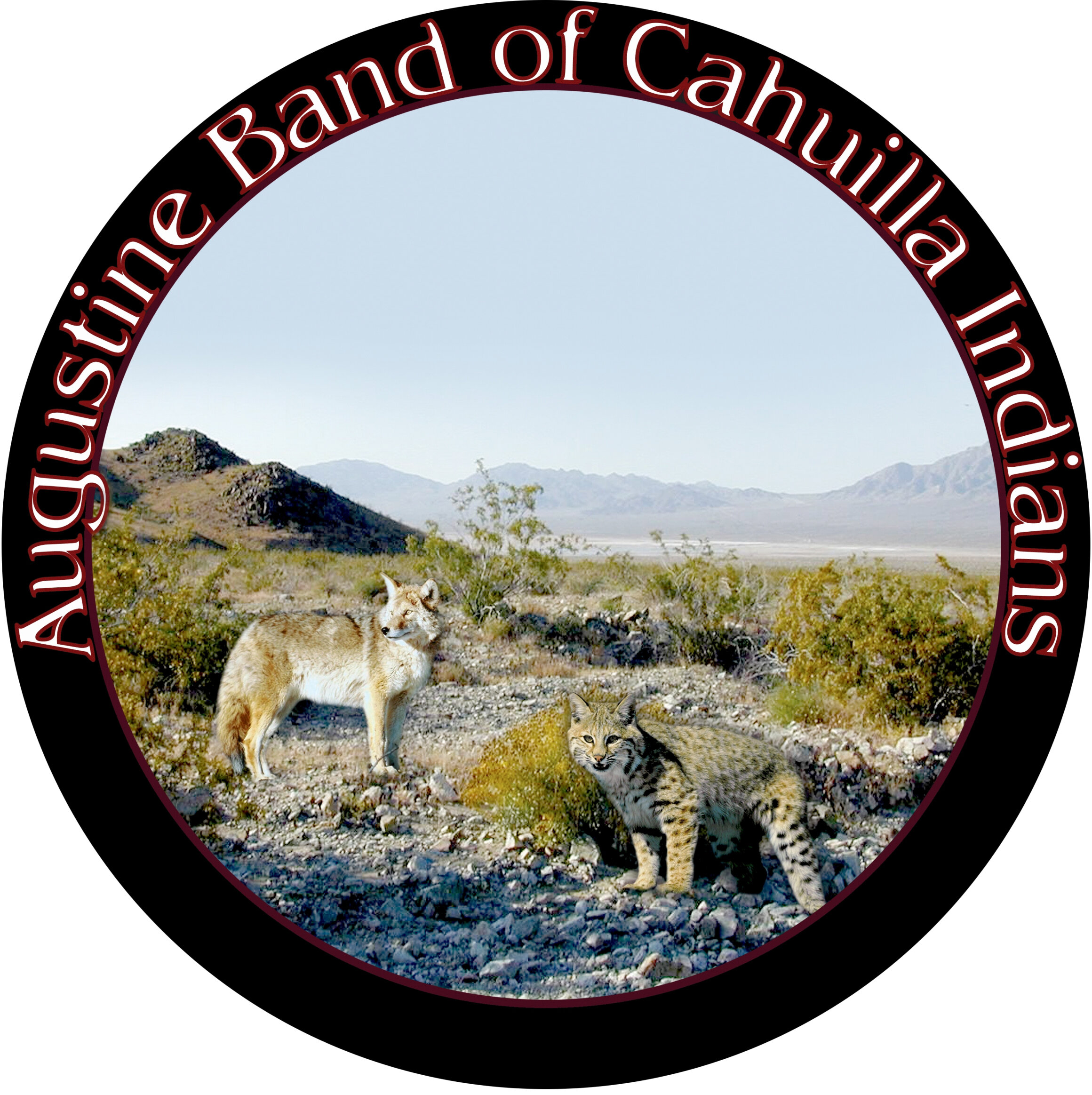 Augustine Band of Cahuilla.jpg