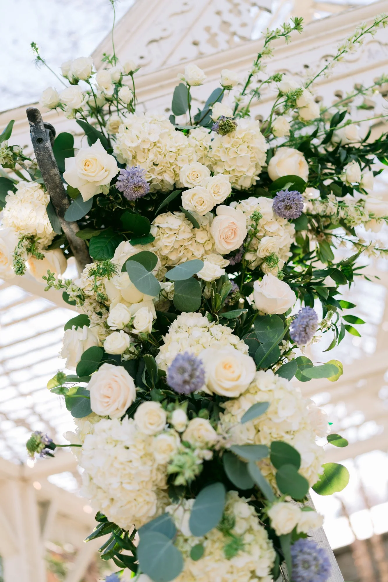 Preview (25 of 99).jpg