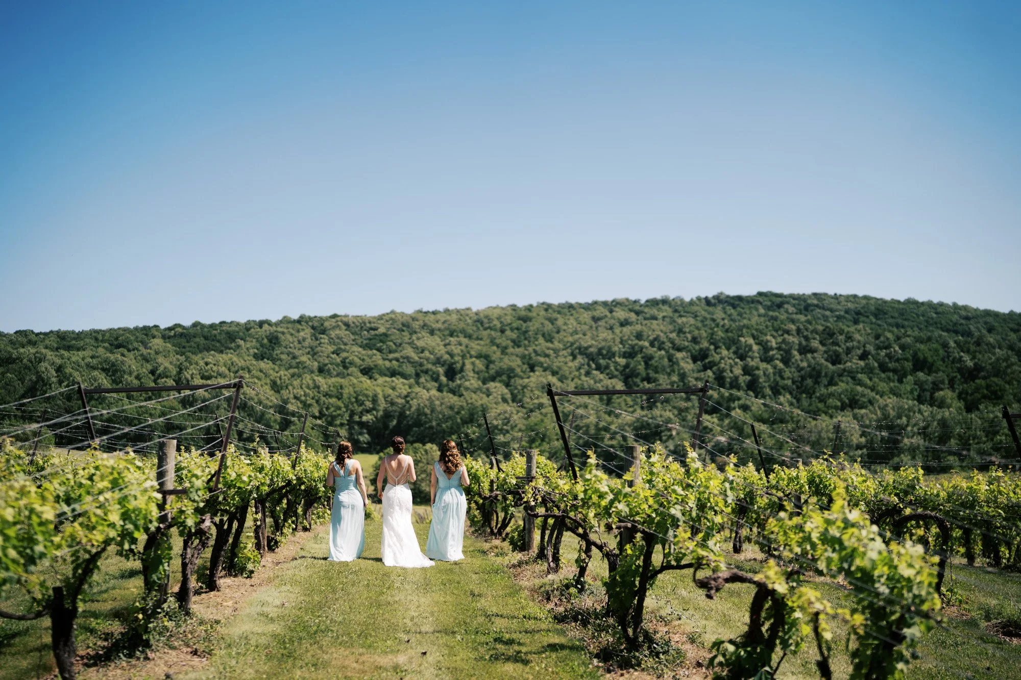 BreauxVinyardWedding (54 of 165).jpg