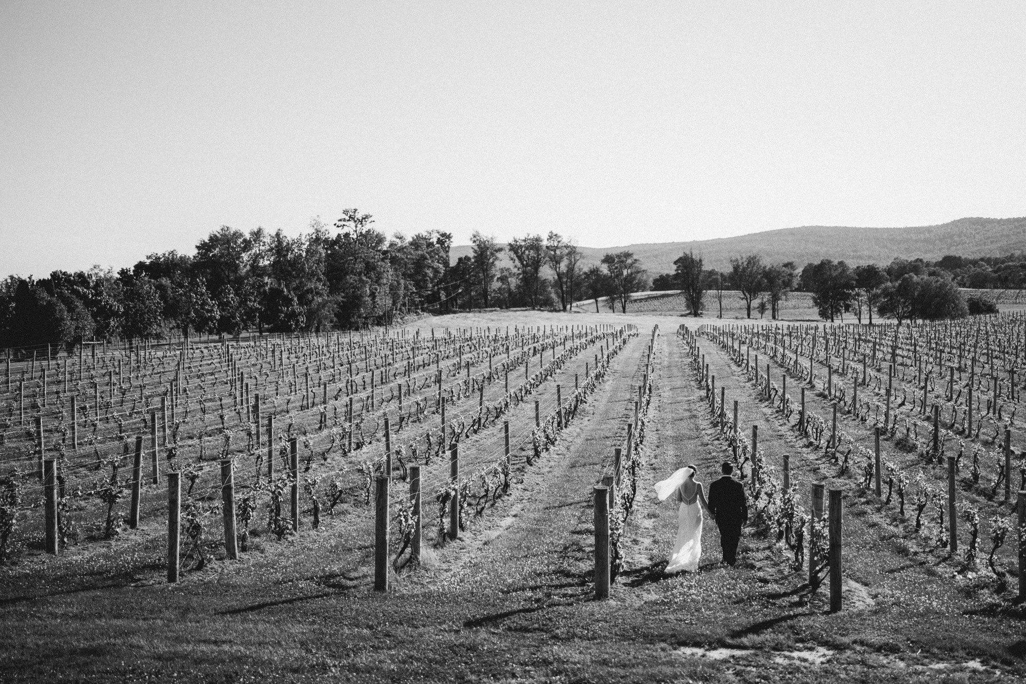 BreauxVinyardWedding (97 of 165).jpg