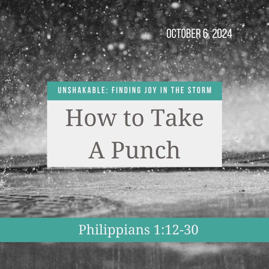How to take a punch episode artwork
