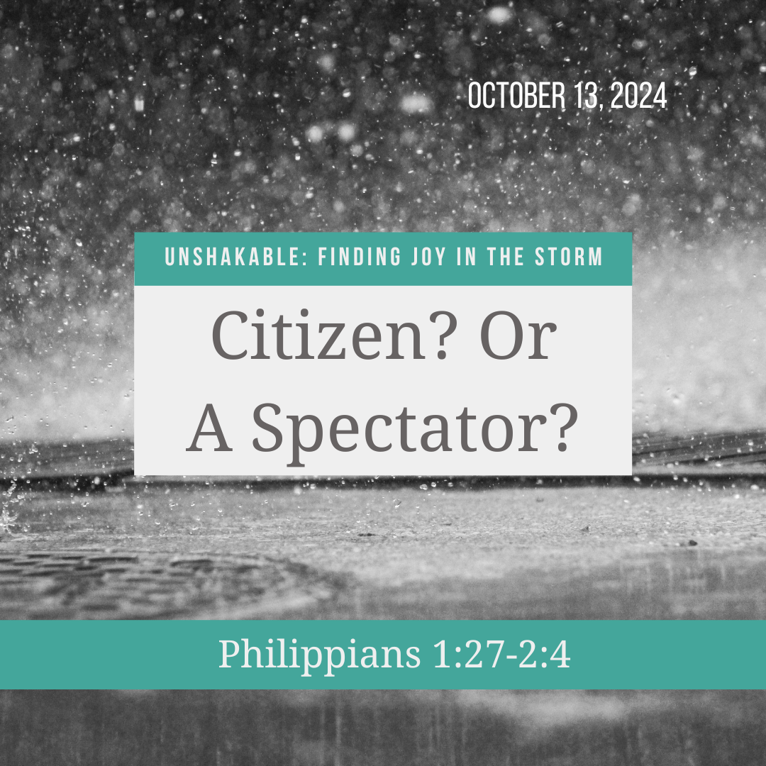 Citizen or Spectaitor episode artwork