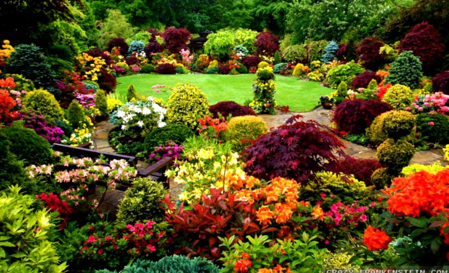 The gardener: A conversation with Kathy Oehler on trusting self, trusting God