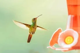 Humming practice
