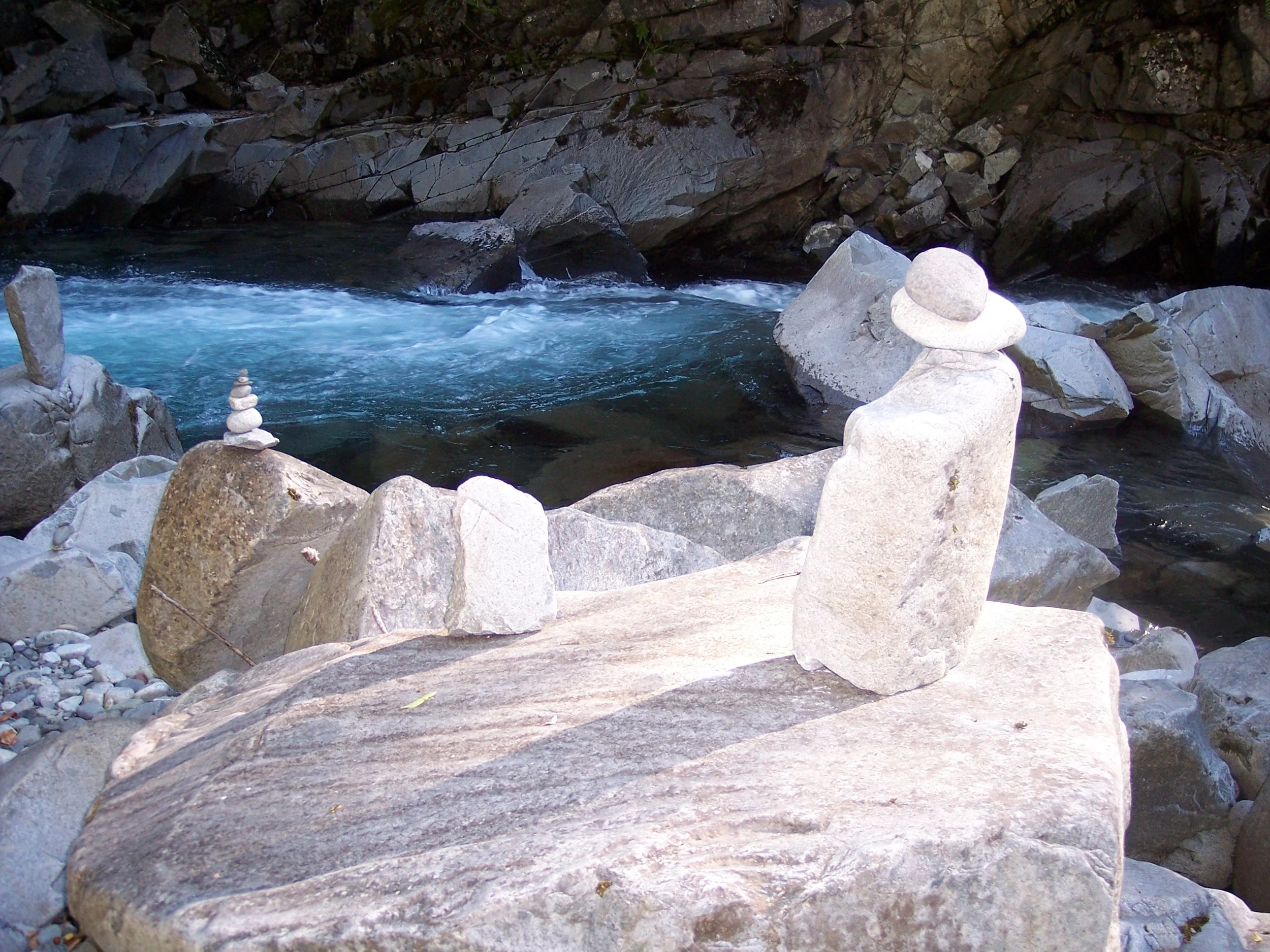 Wild Learning Meditation for February ‘26