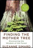 Recommended Book: Finding the Mother Tree