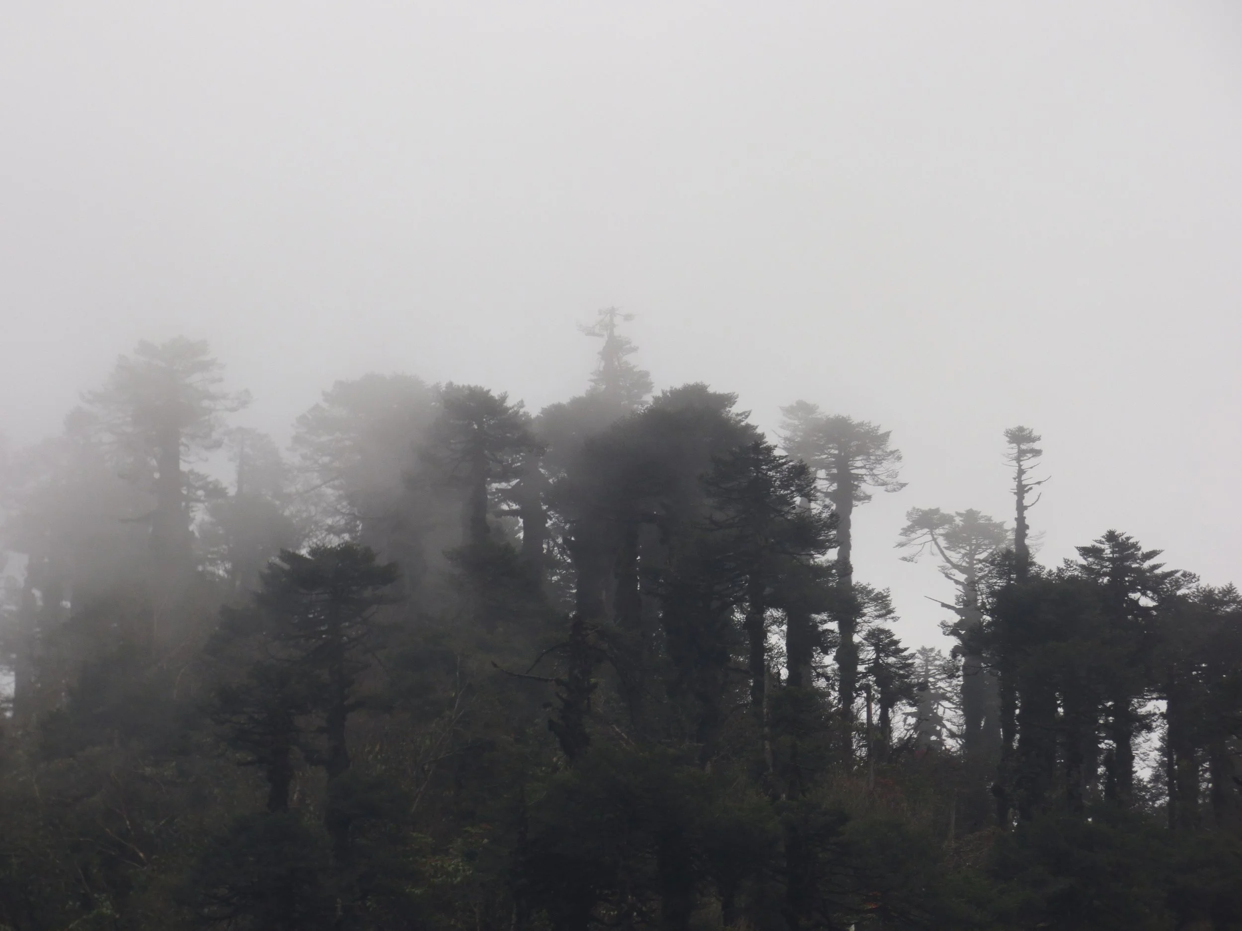 To everything there is a season. . . .&nbsp;