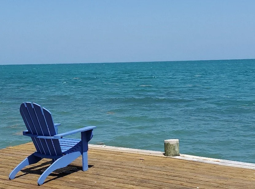 Finding Wholeness: Lessons from the ocean