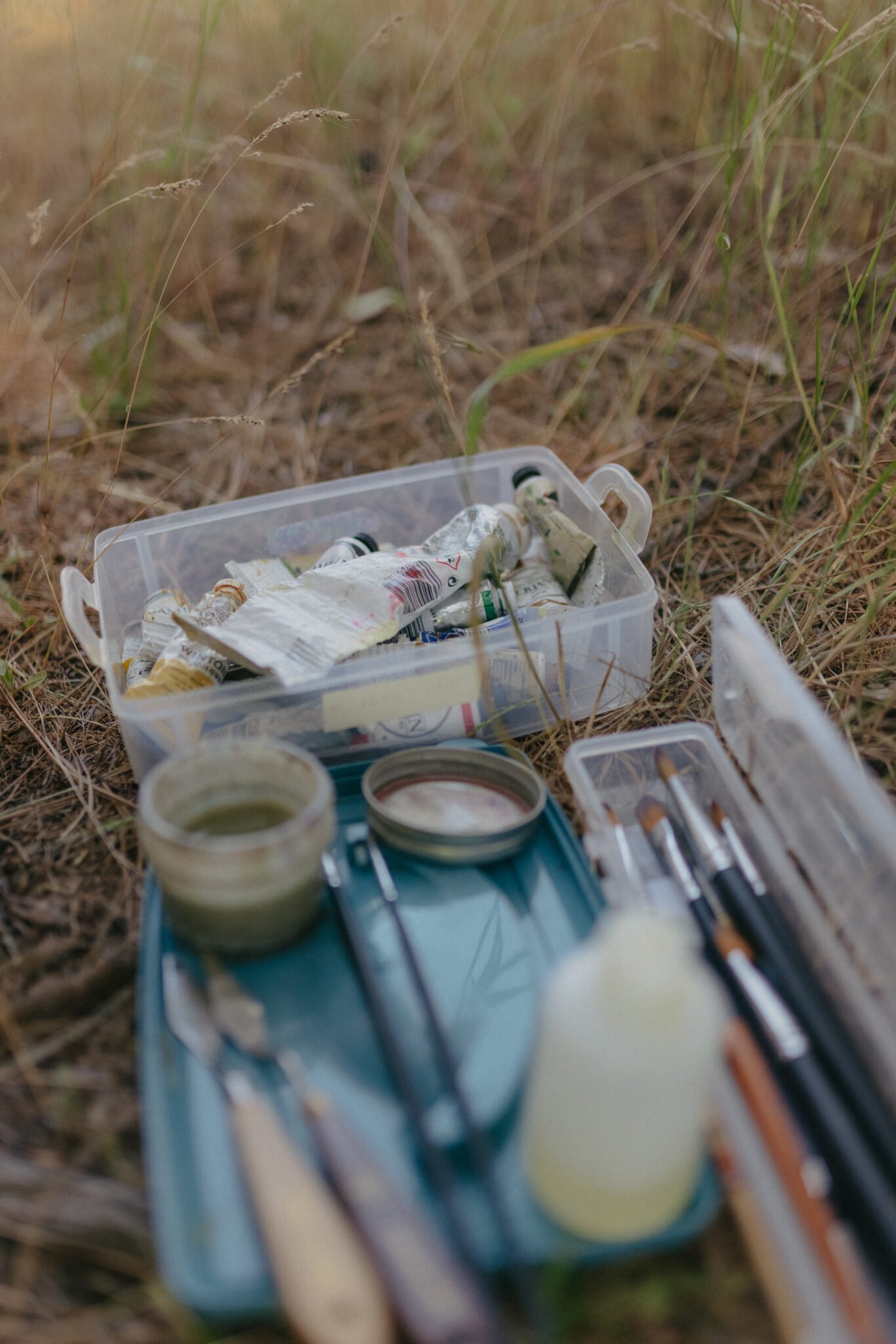 Painting Wild Flowers