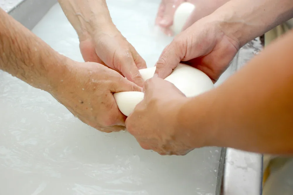 cheesemaking in community: sacred connections