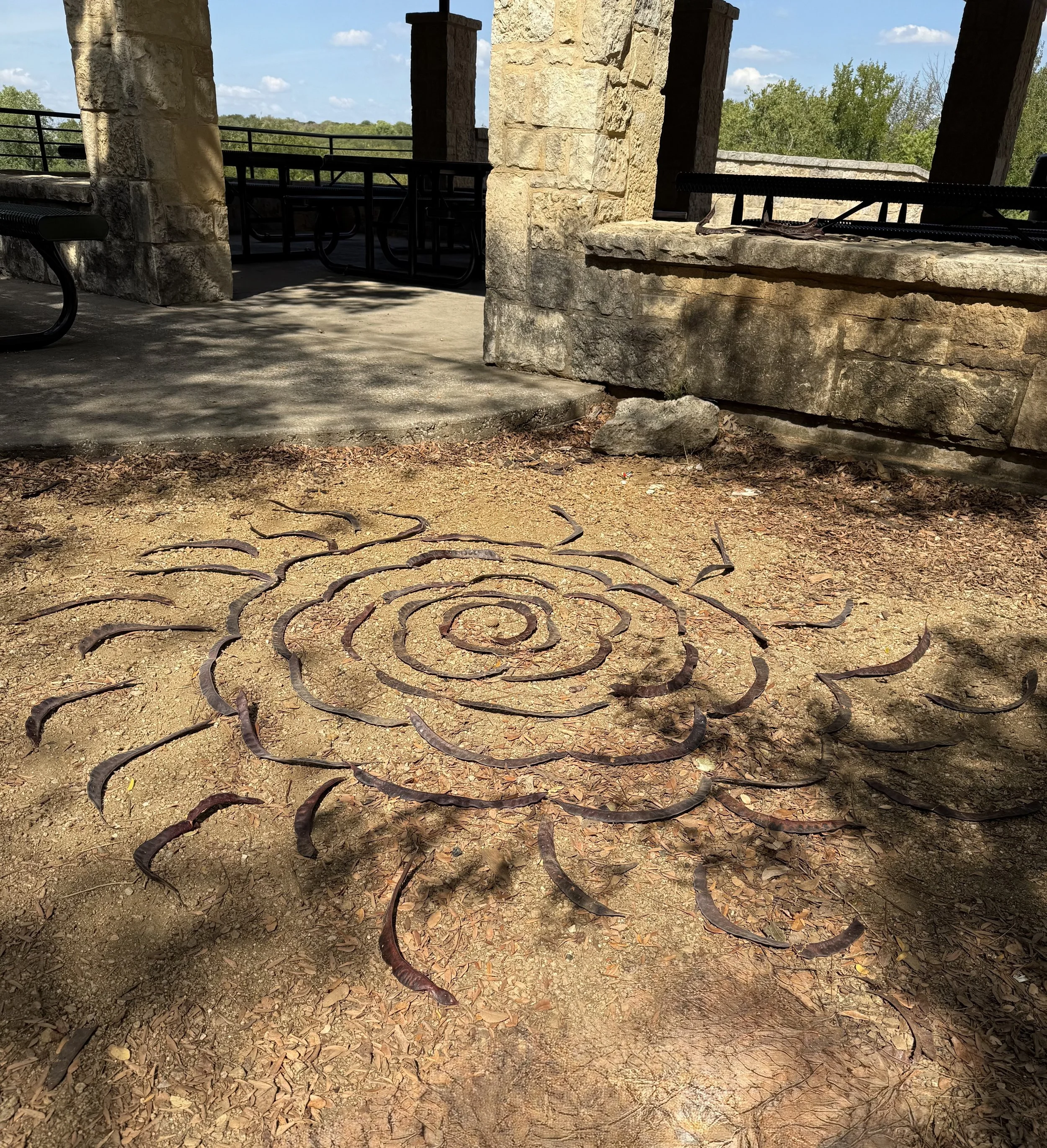 Exploring Grief in Nature