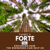 Family Forte