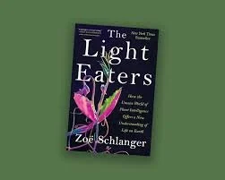 the light eaters with green background.jpeg