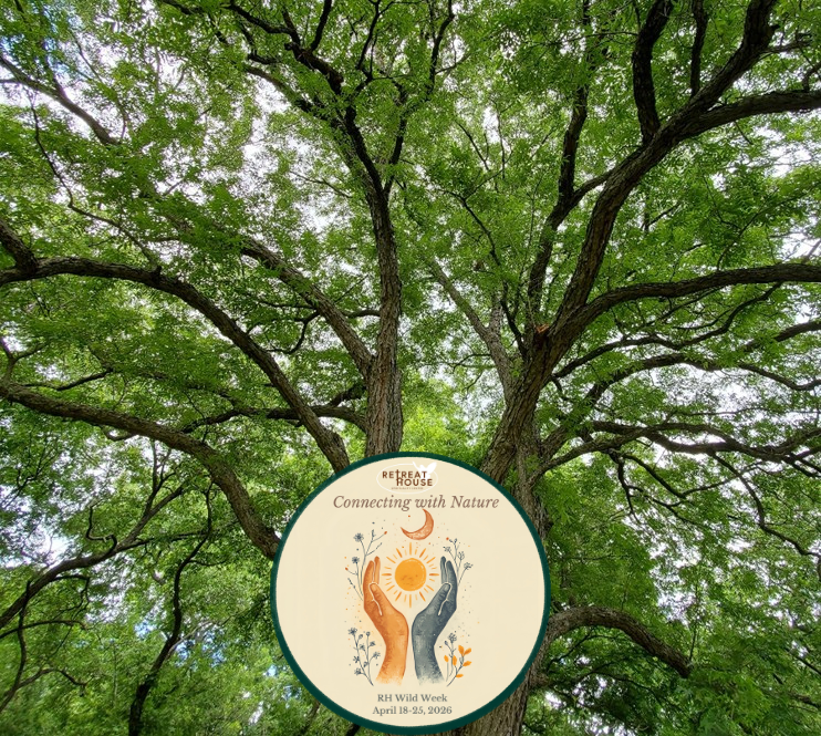 Extra Wild: Discovering Forest Spirituality + Day Pass