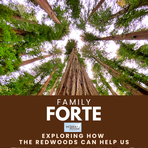 Family Forte Logo.png
