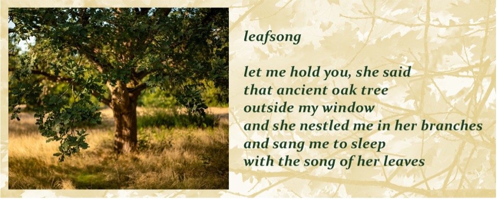 Writing from the Land.jpg