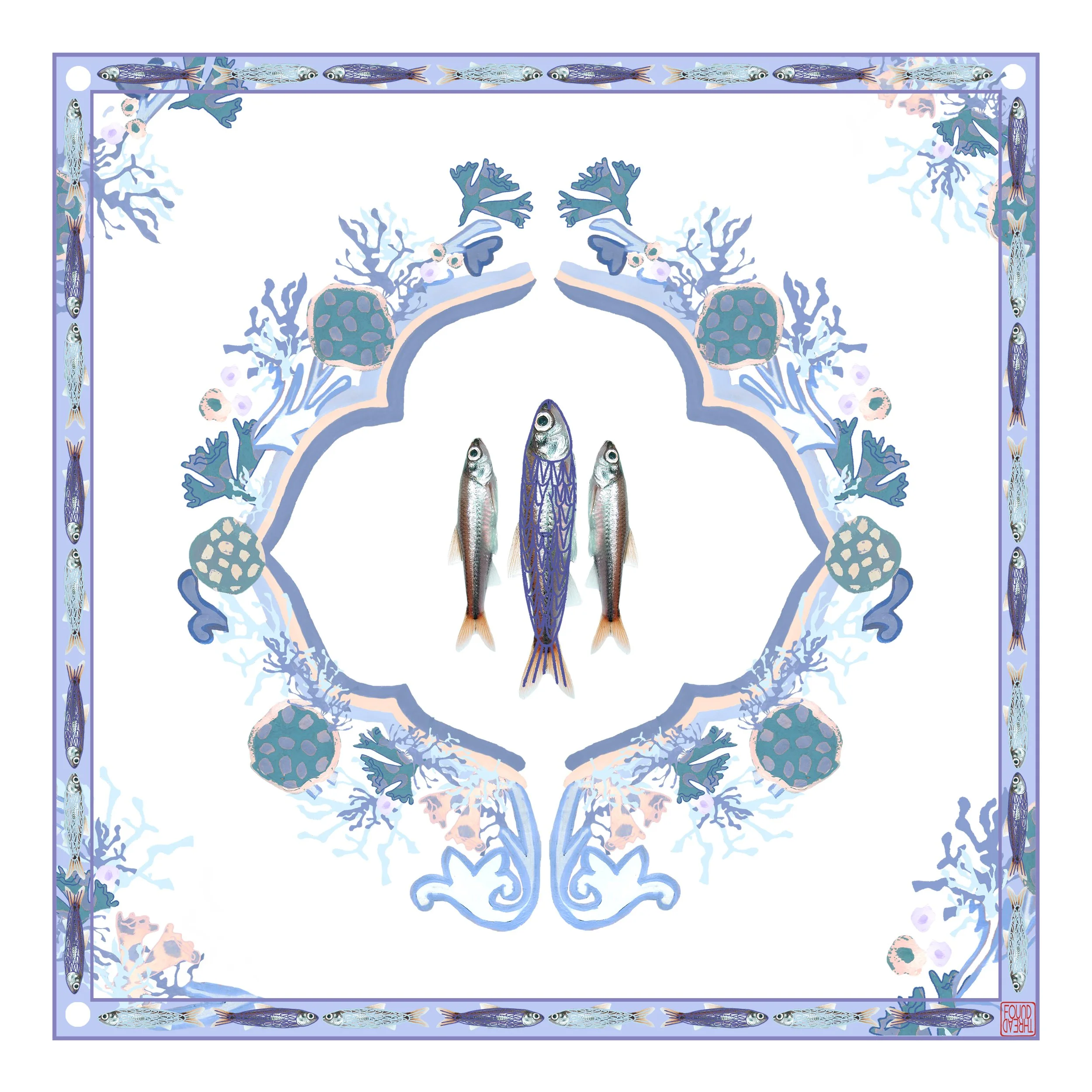 sardines paper.jpg