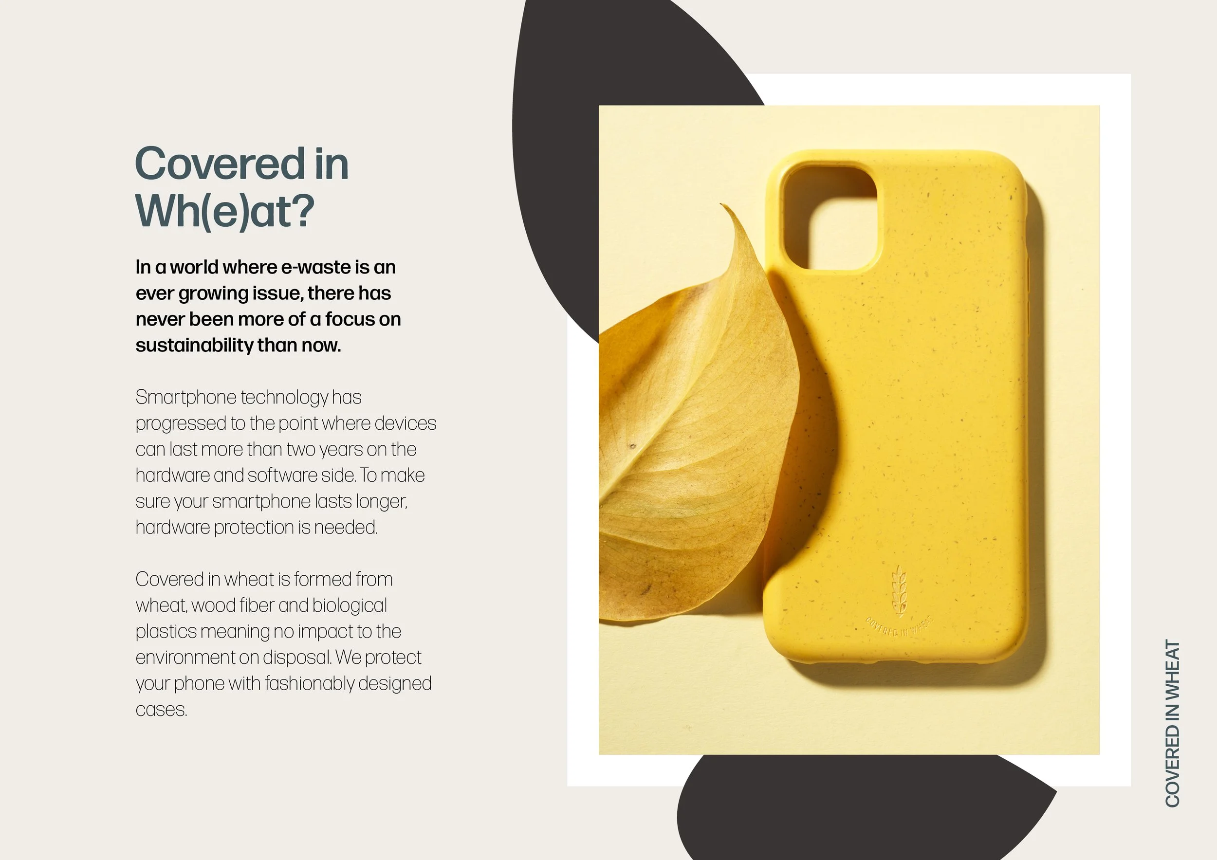 Coverd_In_wheat_images2.jpg