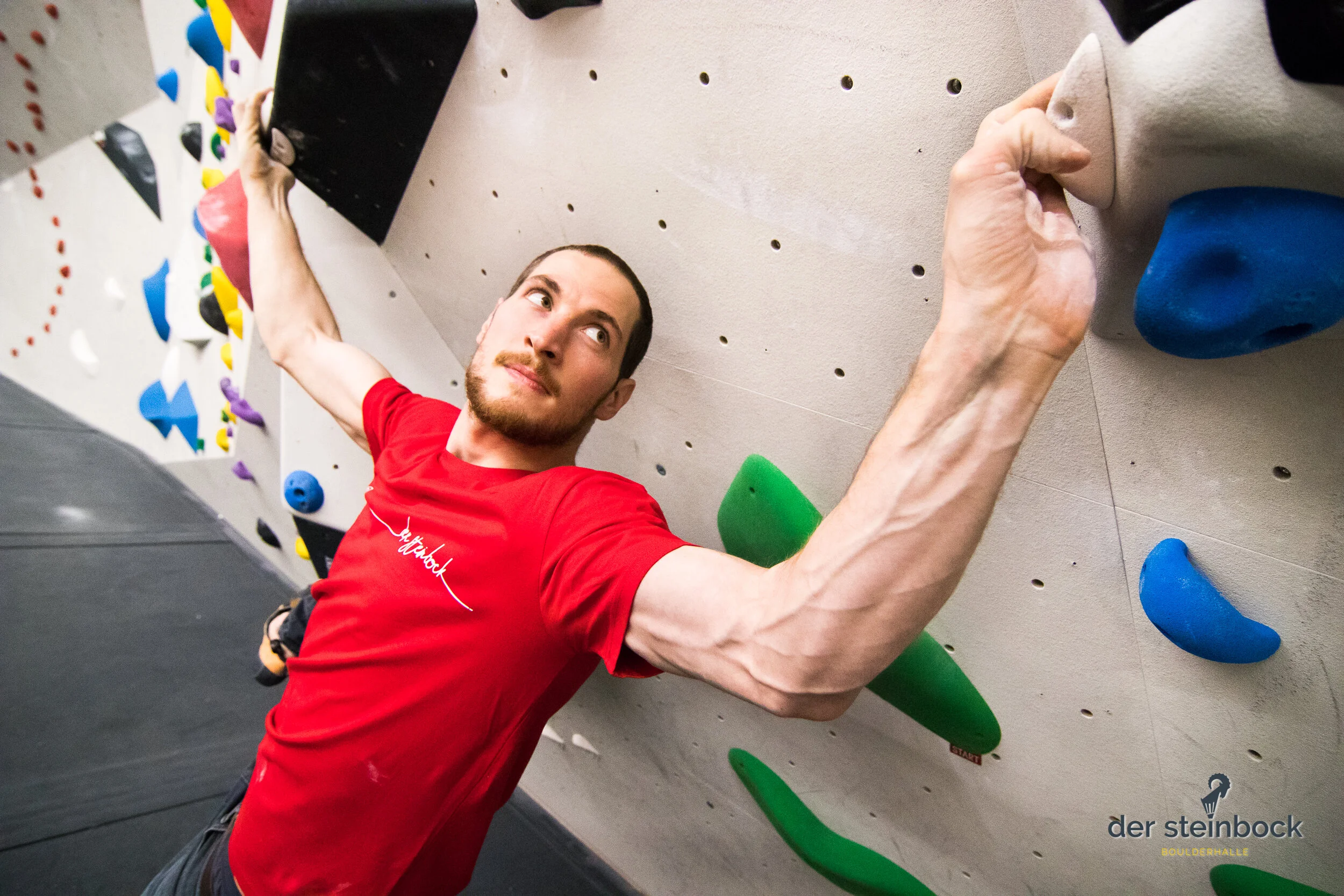 Heute ist der Wurm drin. Das Gesicht gehört doch Richtung Wand…