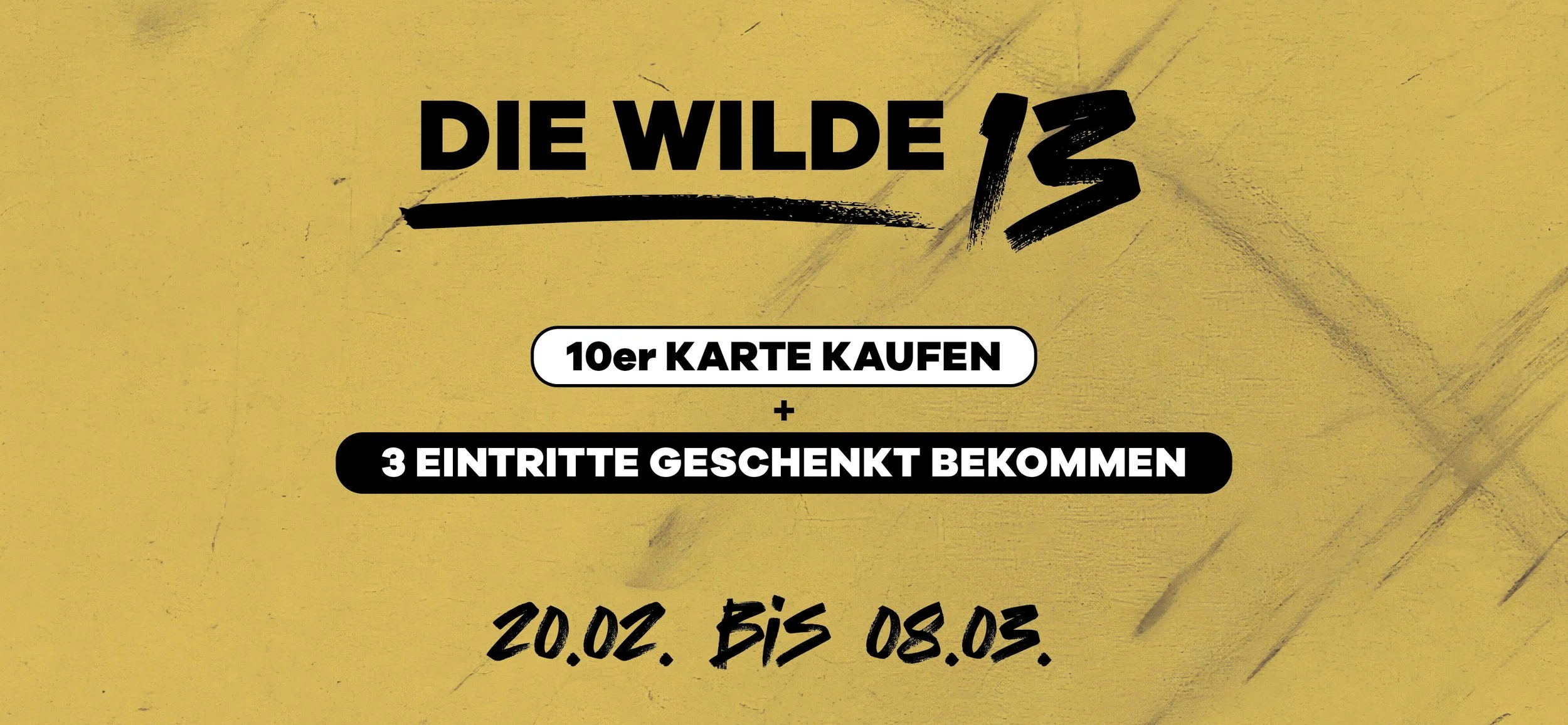 die wilde 13
