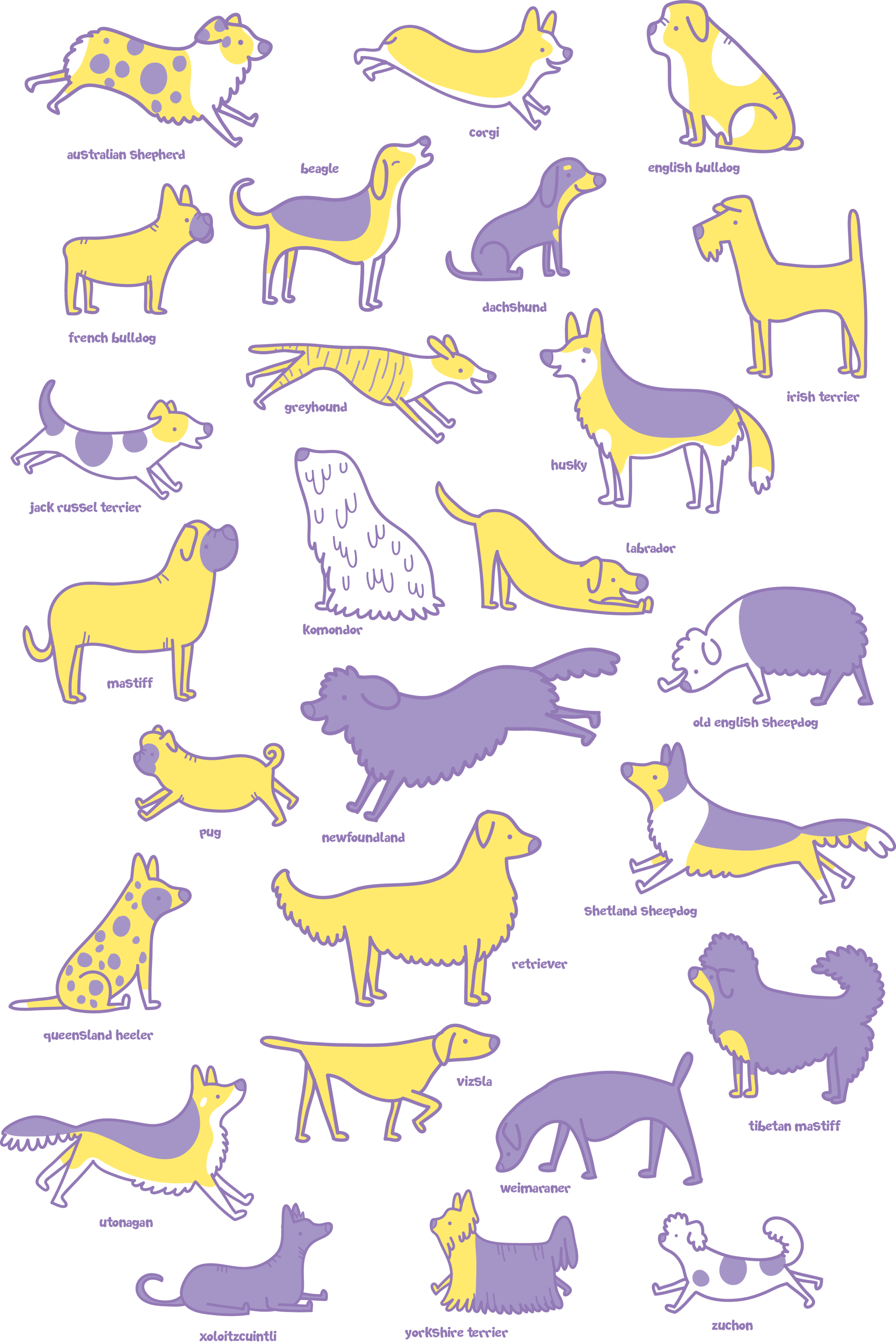 dog alphabet.png