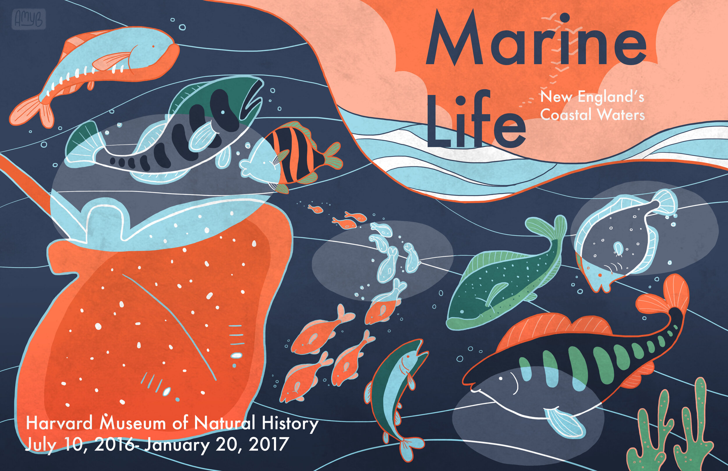 Marine Life Poster.jpg