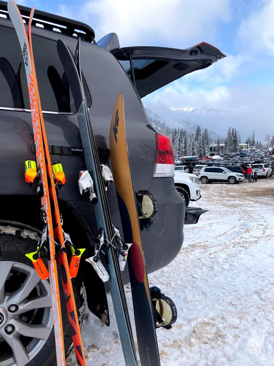 44663553-1A32-499C-92DB-69B6BD8E30CF