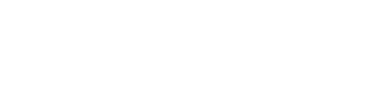 The Dirt