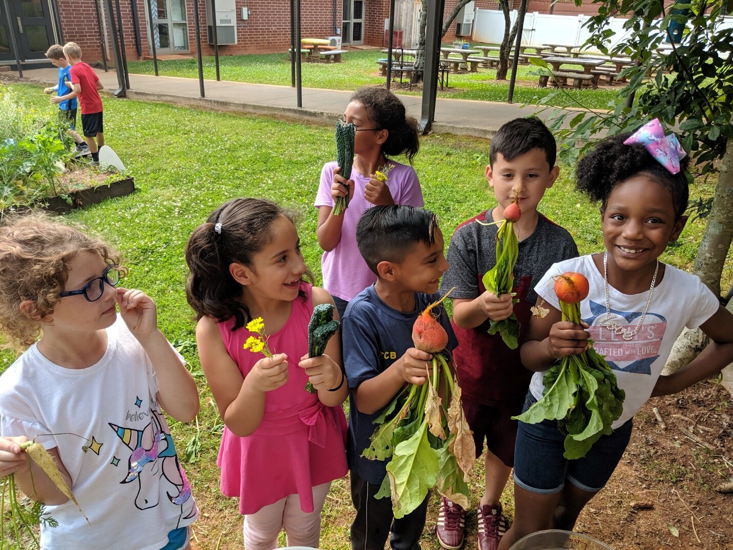 2019Jackson County Students Harvesting for Rainbow Salad.jpg