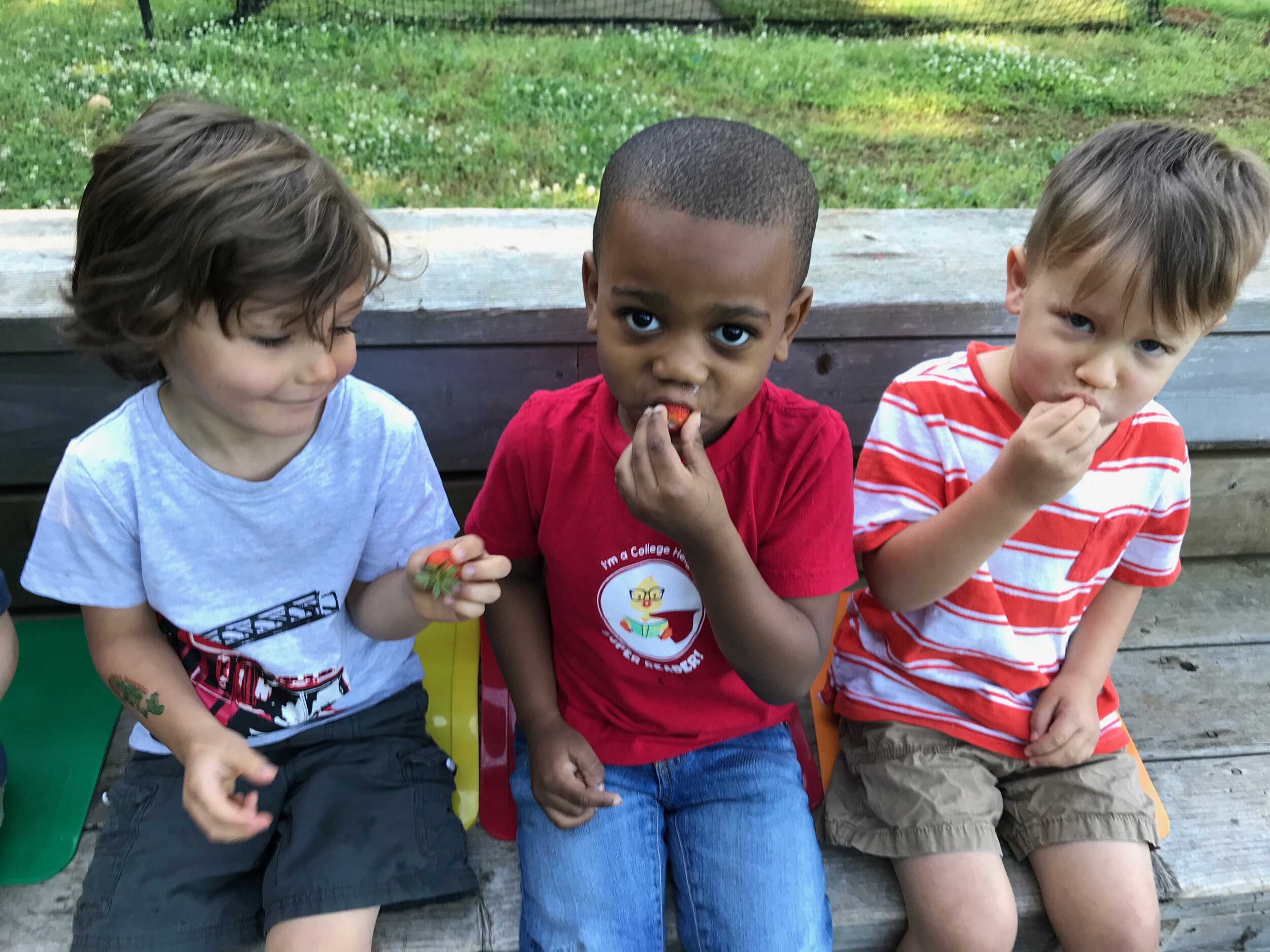 2019 City Schools of Decatur students trying strawberries they harvested.jpeg