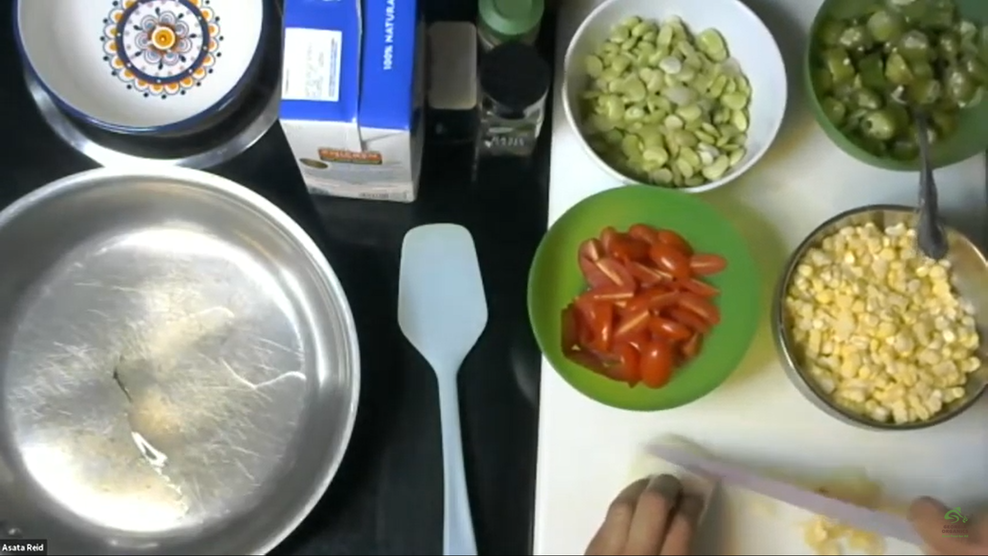 Asata chopping onion screenshot.png
