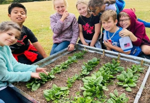 Students plant spinach in school garden.