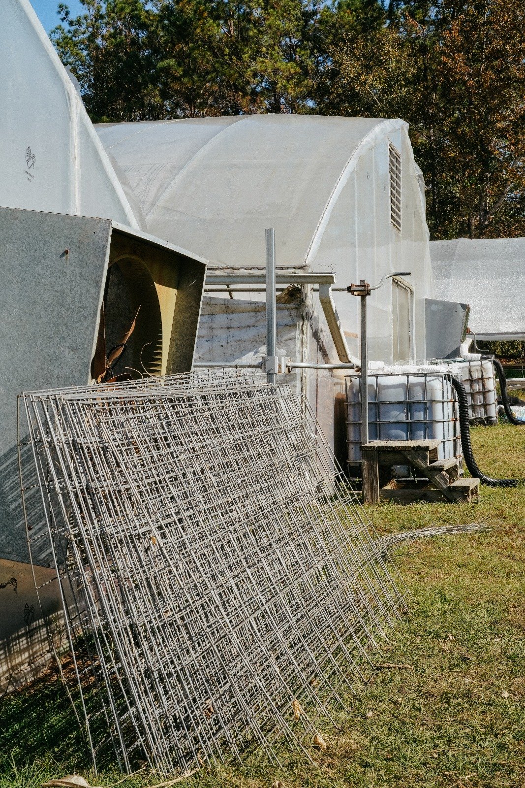 cattle pannel.jpg