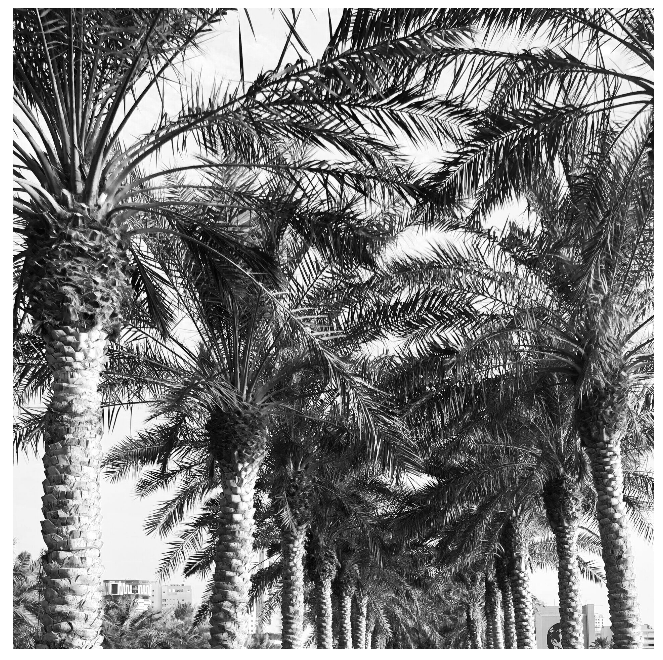 Capture d’écran 2020-04-20 à 10.14.22.png