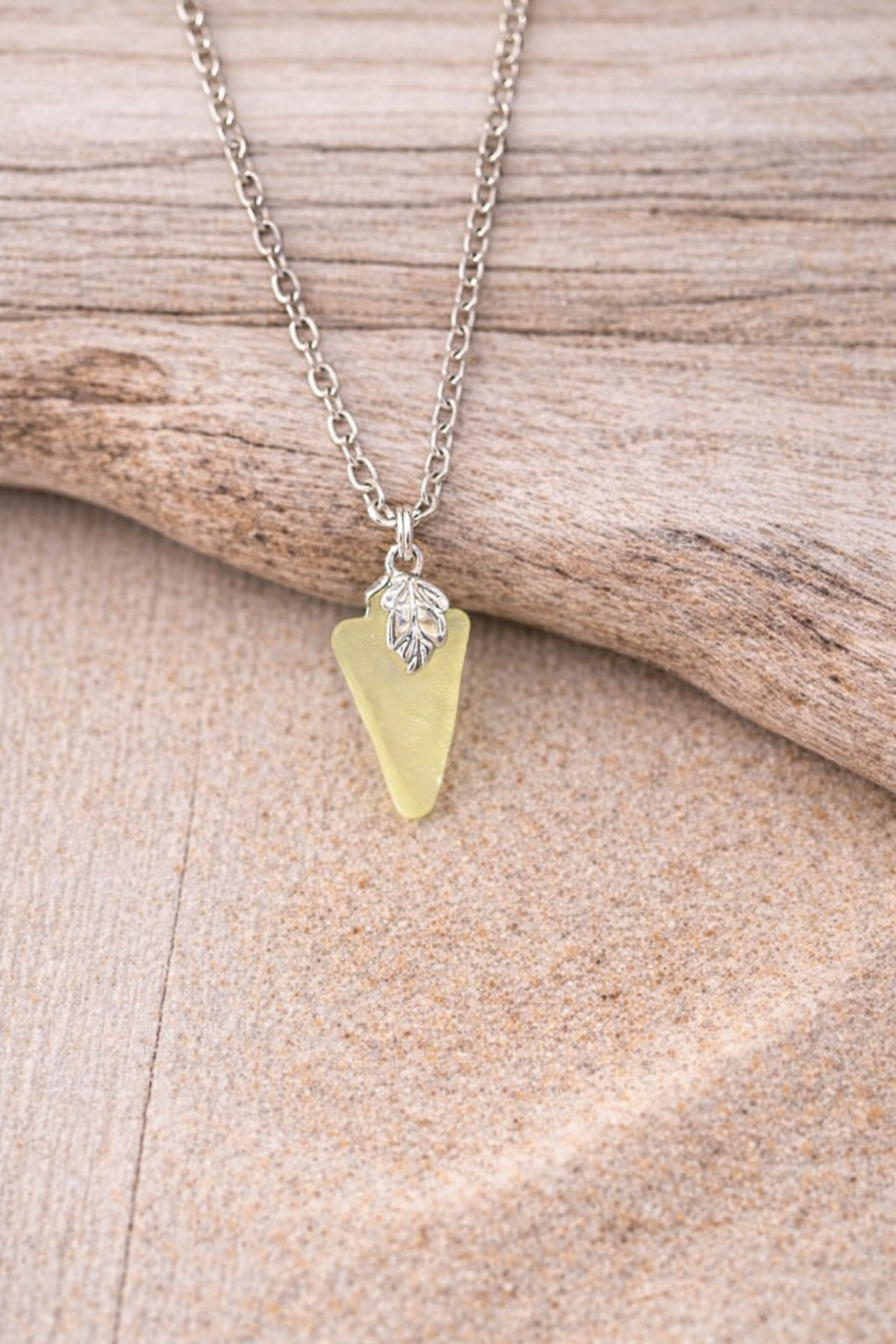 Yellow on driftwood2.jpeg.png