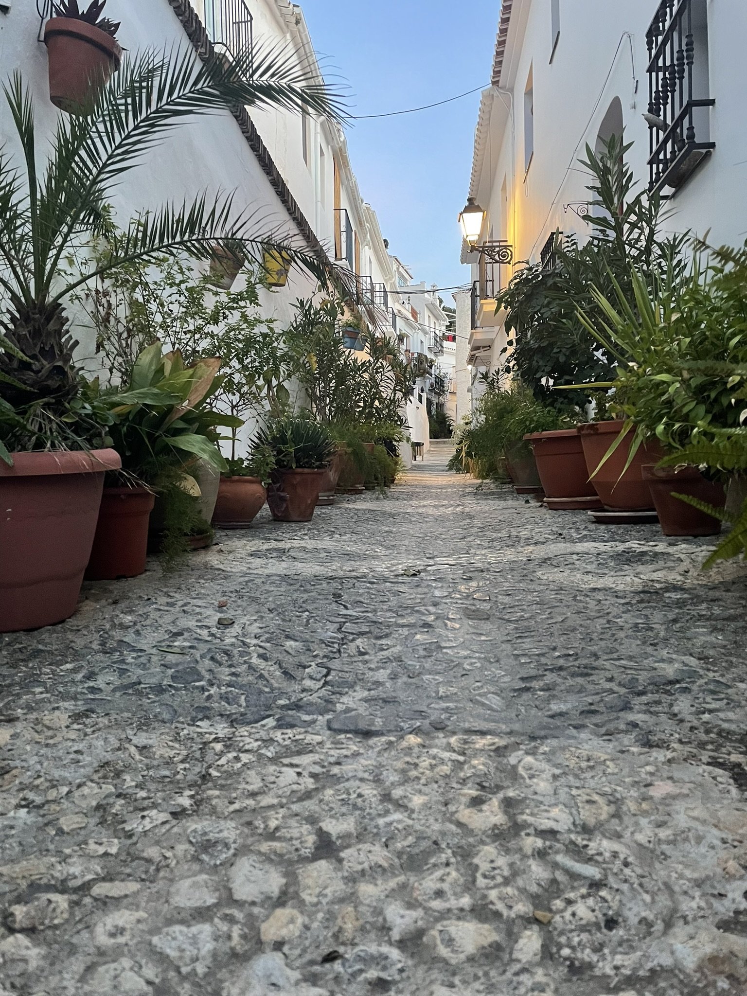 IMG_2401.JPEG