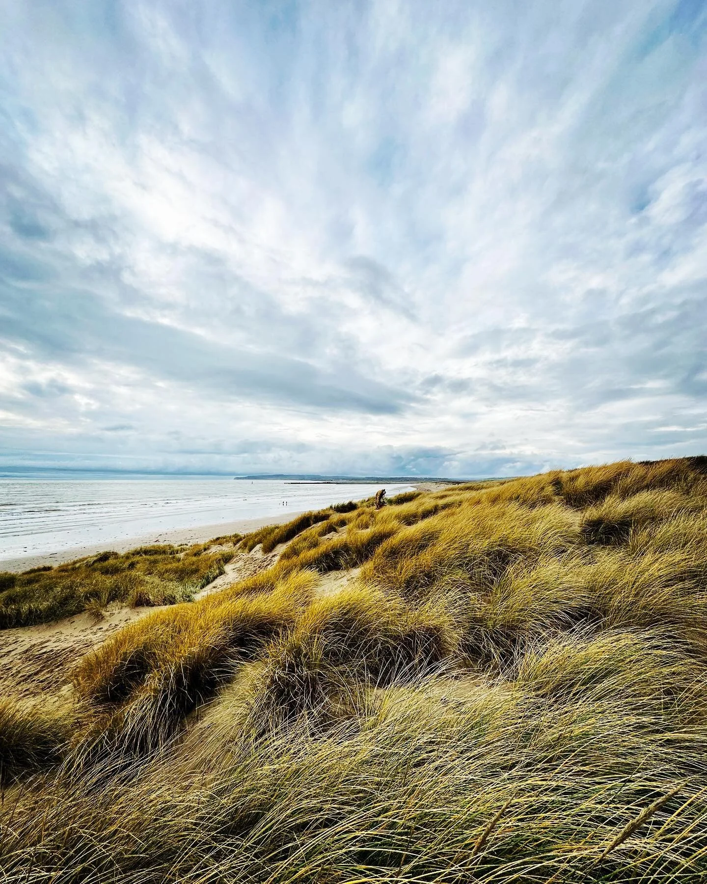 Merry Christmas to all past, present and future guests at Camber Beach House 🍂