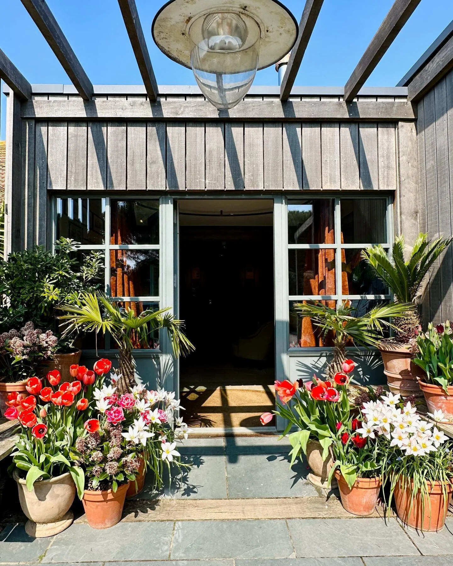 A walk on the beach and lunch on the terrace @thegallivant &hellip; #aprilinengland #thegreatbritishseaside #cambersands 🇬🇧 ☀️
