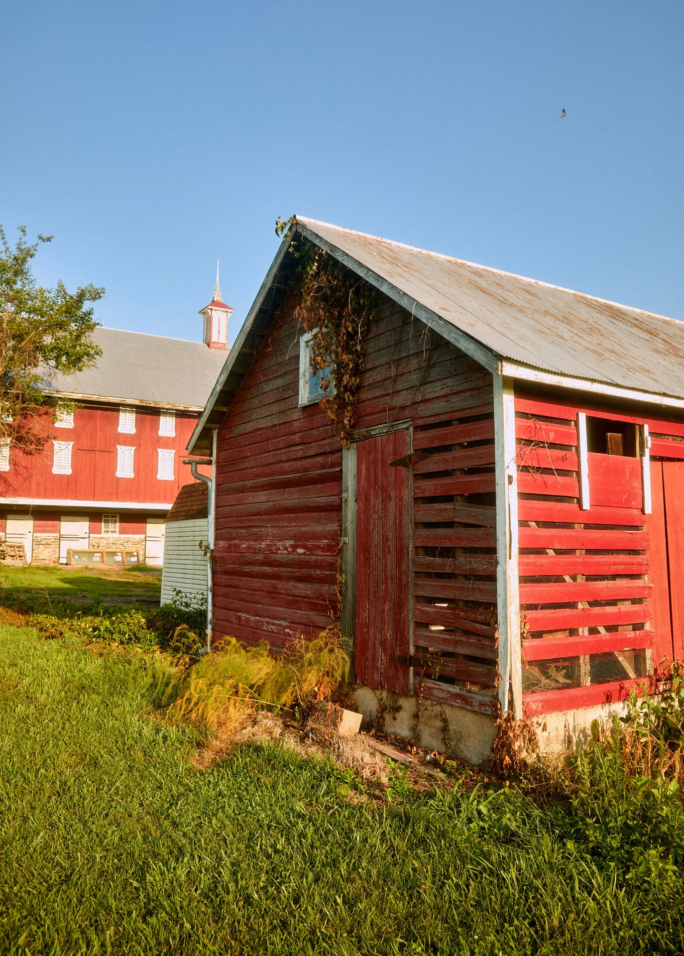 Cashtown_Summer20_Exteriors_170.jpg