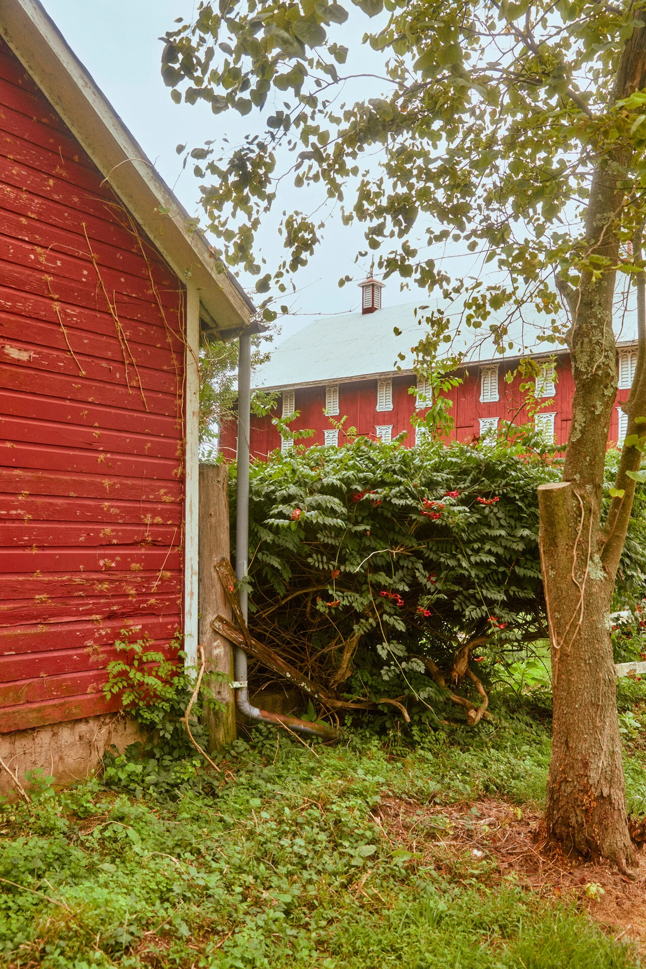 Cashtown_Summer20_Exteriors_316.jpg