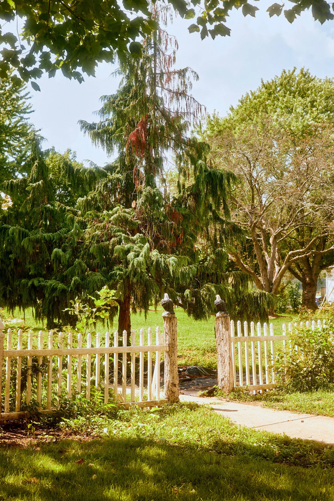 Cashtown_Summer20_Exteriors_441.jpg
