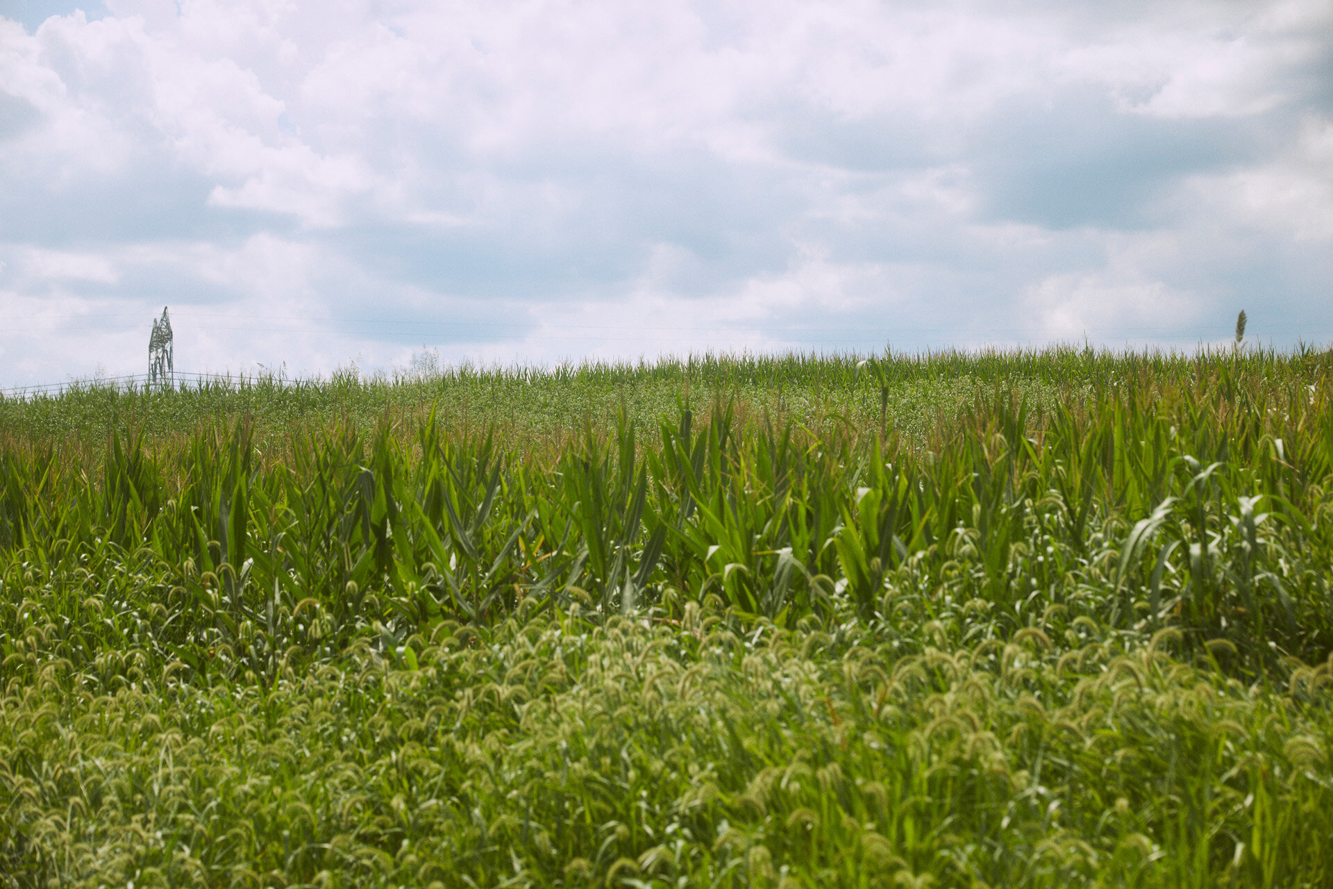 Cashtown_Summer20_Exteriors_476.jpg