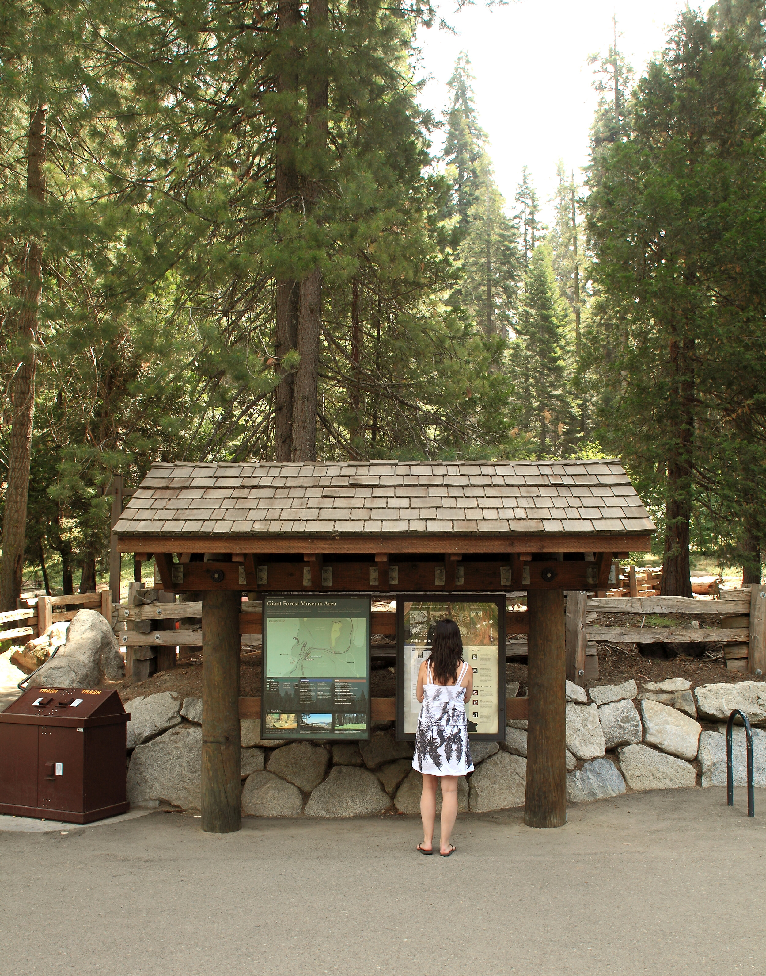  Sequoia National Park 