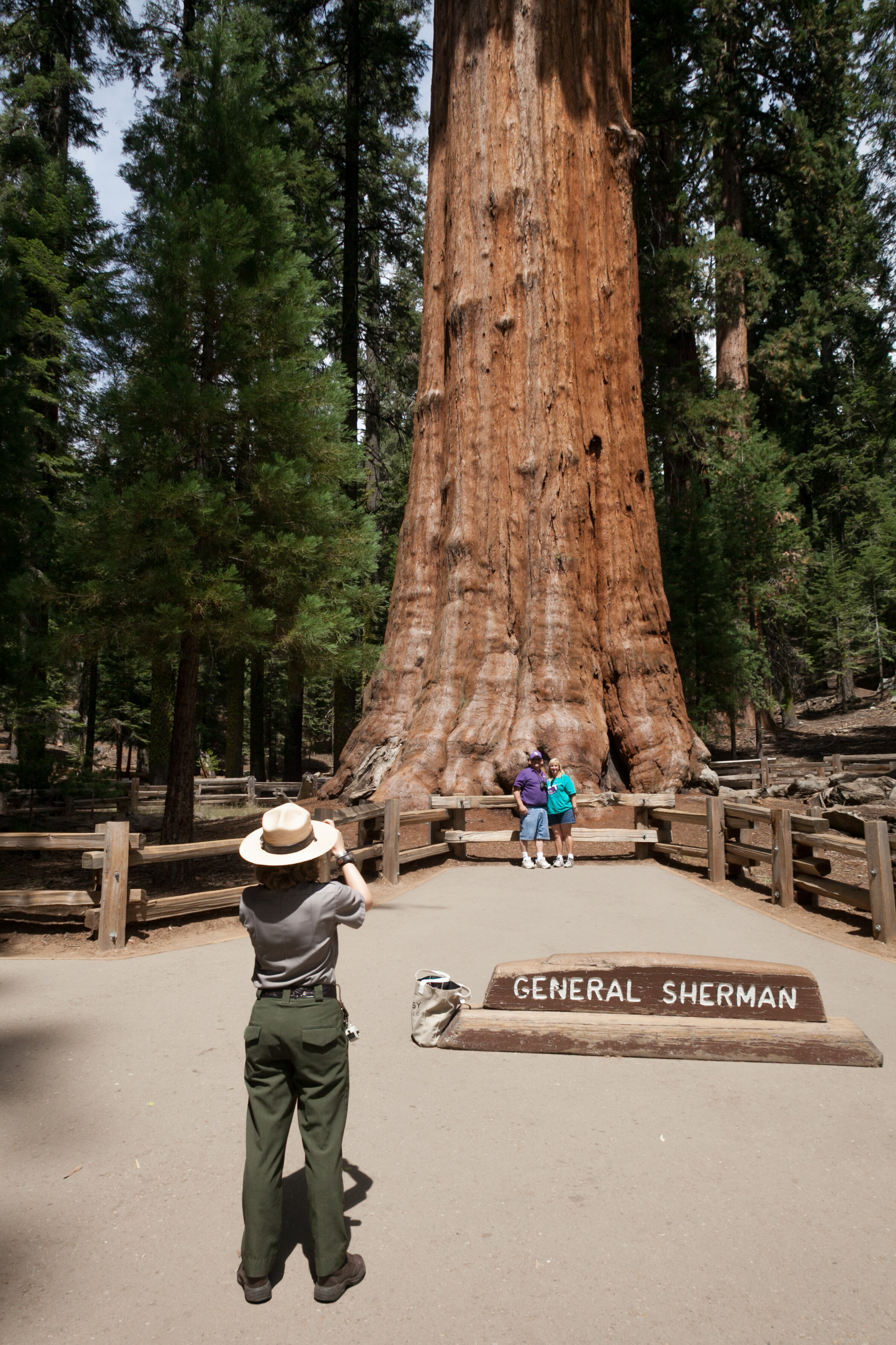  Sequoia National Park 