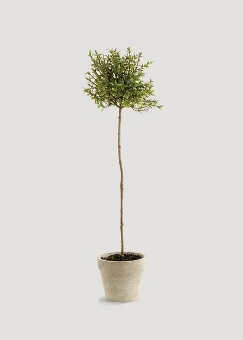 Topiary