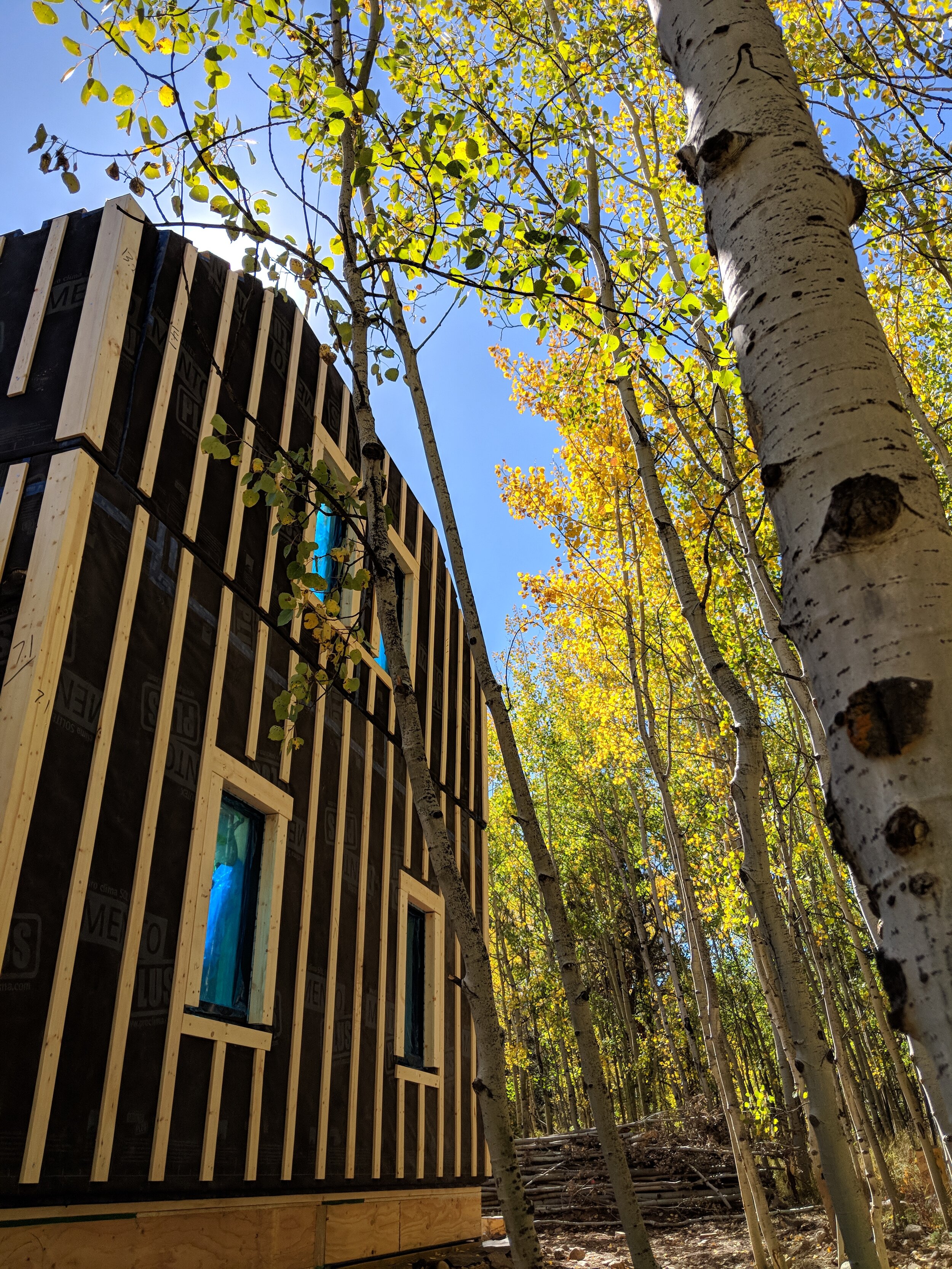 Phoenix Haus Prefab
