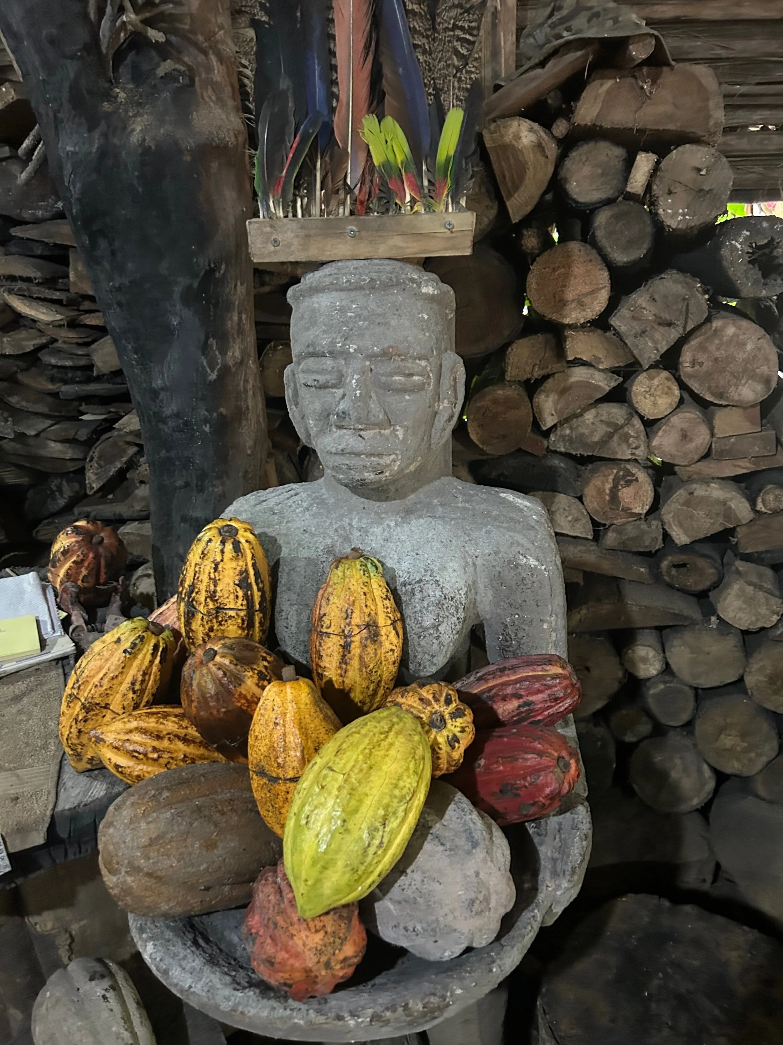 Nutritious &amp; Delicious Recipes - Chocolate Mousse